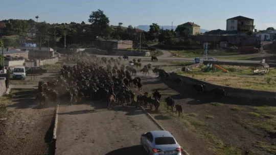Burası Afrika değil Kayseri