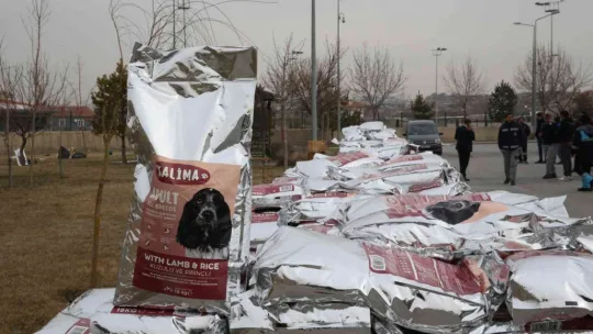 Büyükşehir, 1 Yılda 10 Bin Sokak Hayvanına Sahip Çıktı