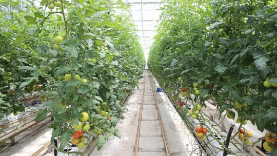 Büyükşehir, 1 yılda 13 milyon kilogram evsel atığı bertaraf etti