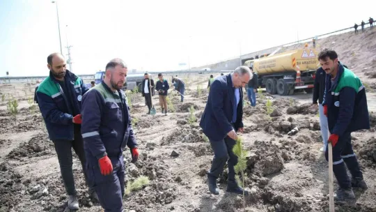 Büyükşehir, baharın gelmesiyle fidan dikimine başladı