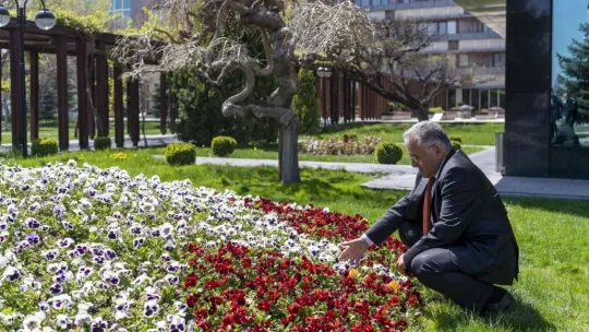 Büyükşehir belediyesinden 'En güzel bahçe' Yarışması