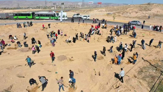 Büyükşehir'den şehitler anısına 251 fidan