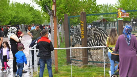 Büyükşehir Hayvanat Bahçesi'ne 1 yılda toplam 375 bin ziyaretçi