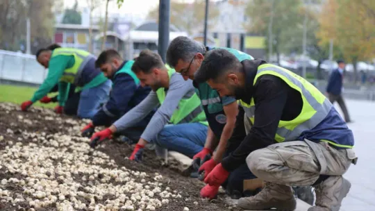 ilkbahar ve sonbaharda 2 milyon 240 bin çiçek dikildi