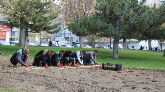 ilkbahar ve sonbaharda 2 milyon 240 bin çiçek dikildi