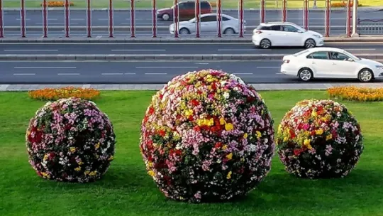 ilkbahar ve sonbaharda 2 milyon 240 bin çiçek dikildi