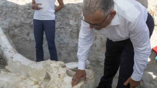 Fosil kazı çalışmaları yeniden başladı