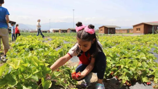 Büyükşehir'in Doğal Ürünler Bahçesi, minikleri ağırladı
