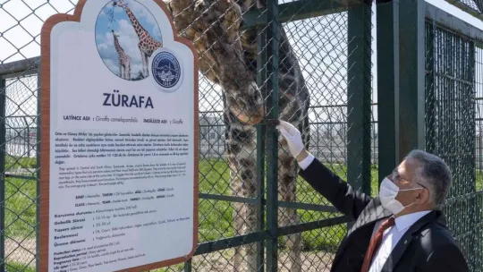 Büyükşehir'in hayvanat bahçesi bayramda ücretsiz