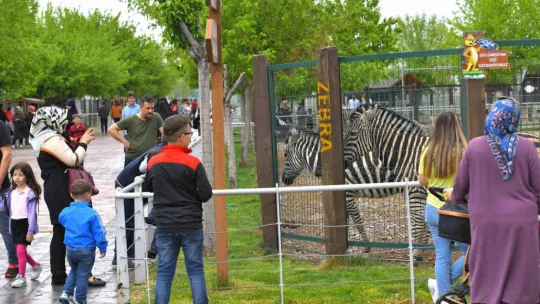 Büyükşehir'in hayvanat bahçesi bayramda iki gün ücretsiz