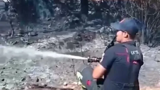 Büyükşehir İtfaiyesi, orman yangınlarını söndürmek için canla başla görev yaptı