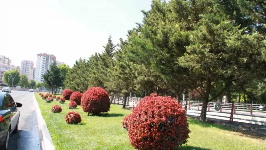 Kayseri 800 bin çiçekle renklendi