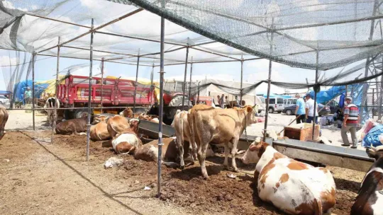 Büyükşehir kurban satış ve kesim yerlerinde tüm tedbirleri aldı
