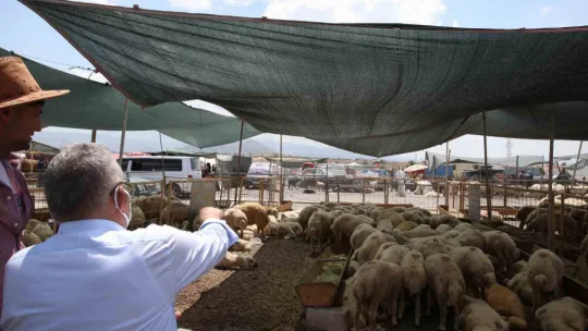 Büyükşehir kurban satış ve kesim yerlerinde tüm tedbirleri aldı