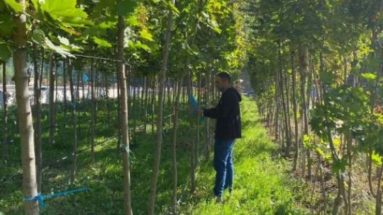 Büyükşehir, topladığı 1 ton tohumu yeniden toprakla buluşturdu