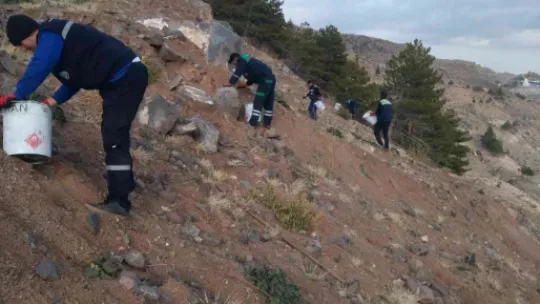 Büyükşehir, topladığı 1 ton tohumu yeniden toprakla buluşturdu