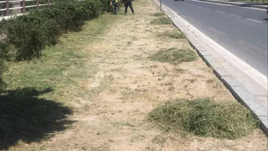 Büyükşehir Yeşil Alan Çalışmalarını sürdürüyor