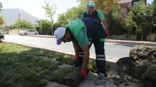 Büyükşehirden çim alan ve sulama sistemi çalışmaları