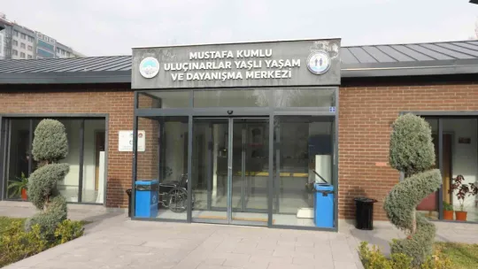 Büyükşehirin Merkezi, Ulu Çınarların İkinci Yuvası Oldu