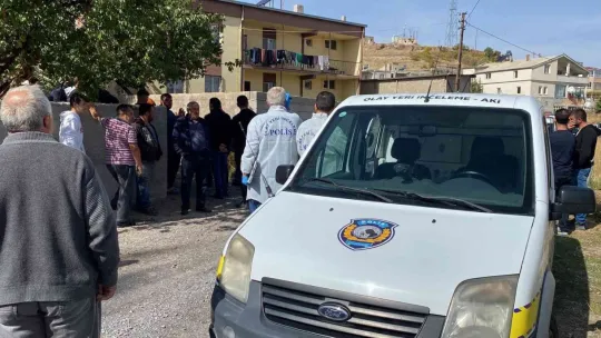 Ceviz ağacından düşen şahıs hayatını kaybetti