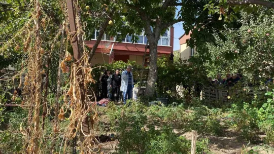 Ceviz ağacından düşen şahıs hayatını kaybetti