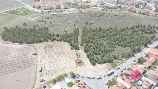 Kocasinan'da hedef 100 bin ağacı toprakla buluşturmak