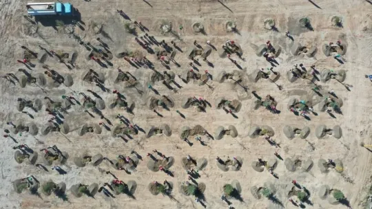 Kocasinan'da hedef 100 bin ağacı toprakla buluşturmak