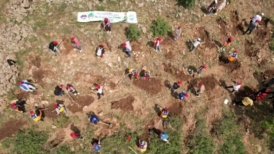 Çevre Günü'nde Ali Dağı'nda özel program