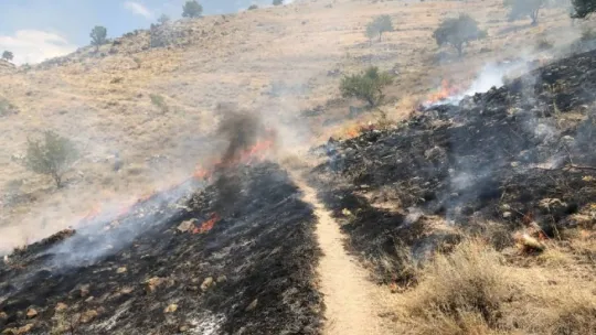 Çevreye atılan cam anız yangınına sebep oluyor