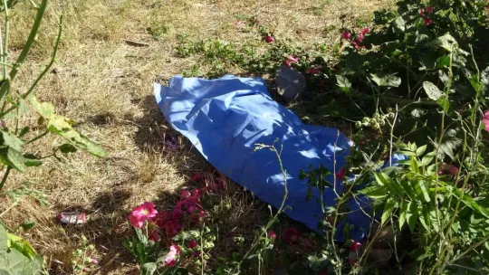 Çiçek toplarken fenalaşan yaşlı kadın yaşamını yitirdi