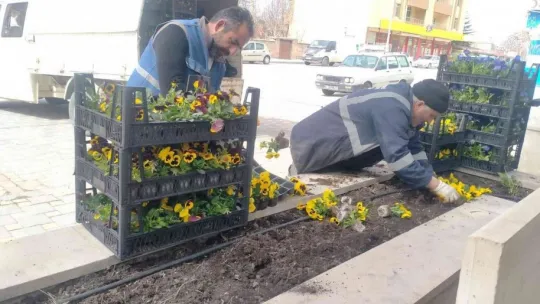Çiçeklerle donatılan Bünyan, rengarenk oldu