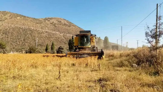 Çiftçi belediye Talas şimdi de Aspir hasadı yaptı