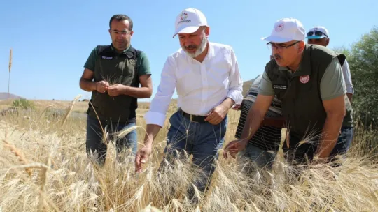 Çiftçi dostu Başkan Çolakbayrakdar'ın milli ve yerli tohum hamlesi takdir topladı