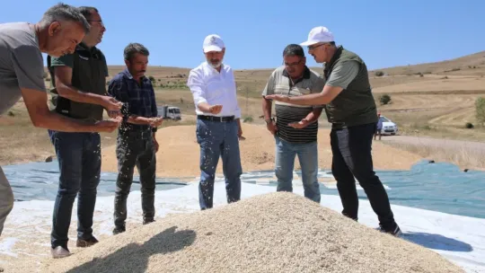 Çiftçi dostu Başkan Çolakbayrakdar'ın milli ve yerli tohum hamlesi takdir topladı
