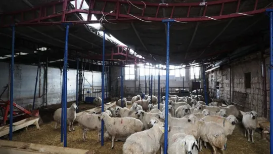 Çiftçinin imdadına Kocasinan Belediyesi yetişti