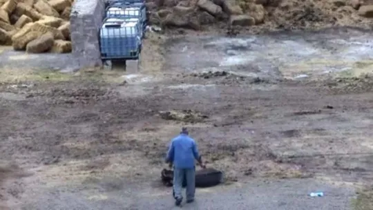 Eski ortağının çiftliğini basıp eşek ve atlarına dehşet saçtı