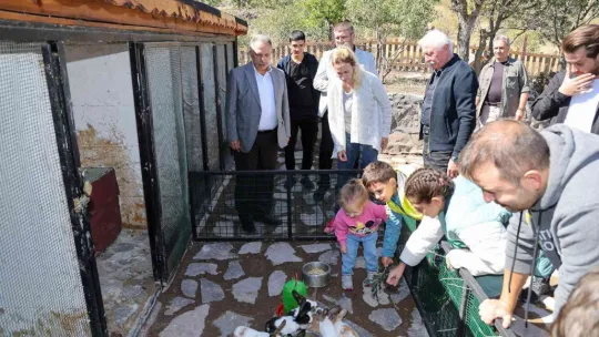 Çiftlik minik, sevgi büyük
