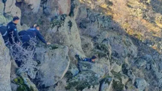 Dağlık alanda uçuruma yuvarlanan 5 keçiyi itfaiye kurtardı