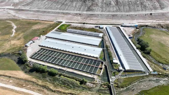 Denizi olmayan Kayseri'de 250 milyon alabalık yavrusu üretiliyor