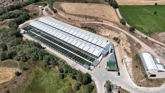 Denizi olmayan Kayseri'de 250 milyon alabalık yavrusu üretiliyor