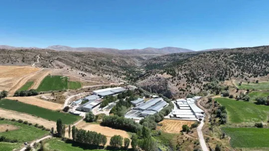 Denizi olmayan Kayseri'de 250 milyon alabalık yavrusu üretiliyor