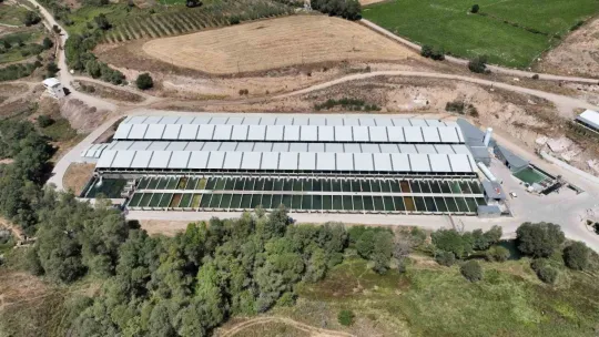 Denizi olmayan Kayseri'de 250 milyon alabalık yavrusu üretiliyor