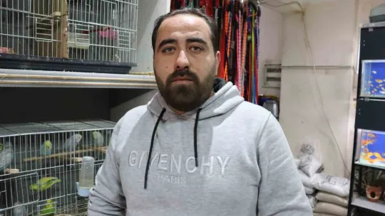 Depremden sonra muhabbet kuşlarının satışı patladı