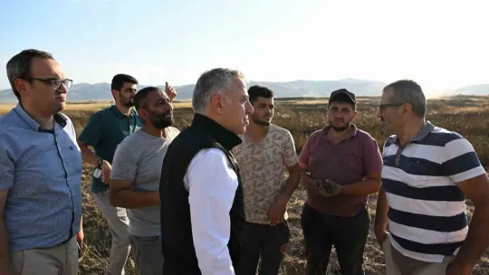 Develi'de anız yangını: Hububat ekili 140 dekar alan yandı