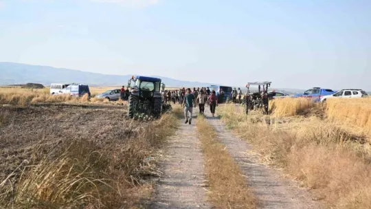 Develi'de anız yangını: Hububat ekili 140 dekar alan yandı