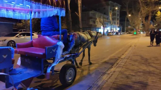 Develi'de fayton turları yeniden başladı