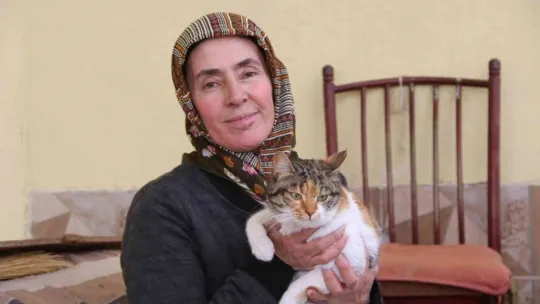 Dişinden arttırdığını kedilere veriyor