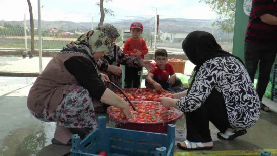 Domatesler kışlık salça için kaynadı