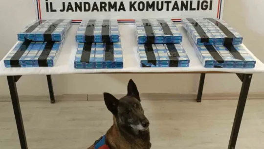 Durdurulan çekicide 400 paket kaçak sigara bulundu