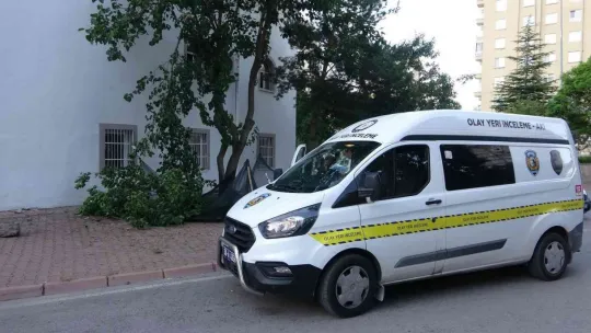 Dut toplamak için çıktığı ağaçtan düşen yaşlı adam yaşamını yitirdi